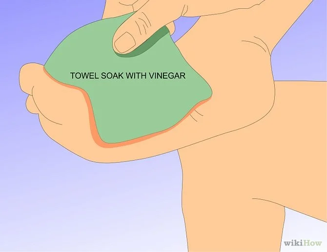 Sea urchin first aid