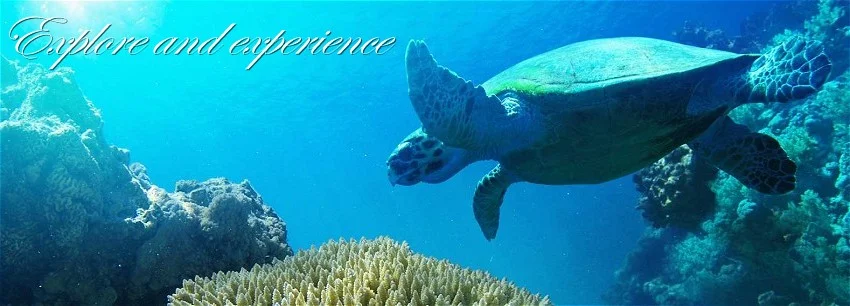 Click here to book our promotional package